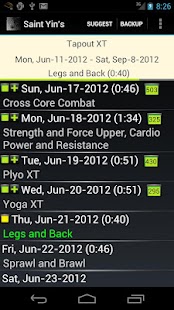 St. Yin's DVD Workout Tracker