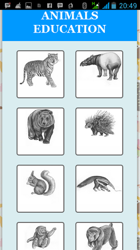 Animals Quiz for Children