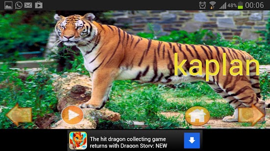 Lastest hayvanlar alemi APK for Android