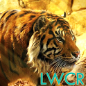 free live tiger wallpaper icon
