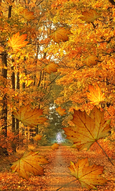 Fall Live Wallpaper - Android Apps on Google Play