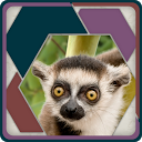 HexSaw - Zoo mobile app icon