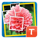 Mosaic: Tap & Guess for Tango mobile app icon