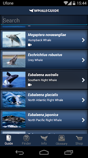 WhaleGuide