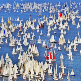 Barcolana Trieste by Marco Poli - Sports & Fitness Watersports