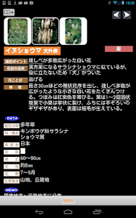 免費下載書籍APP|季節の野草・山草図鑑 app開箱文|APP開箱王