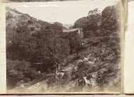 Huis in een bos op een heuvel, China