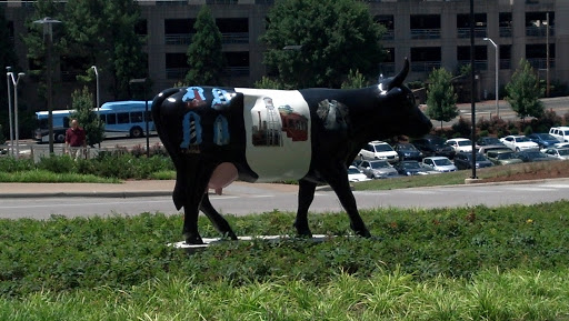 Women's Hospital Cow