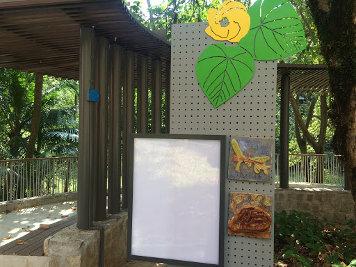 Api Api River Art And Notice Board