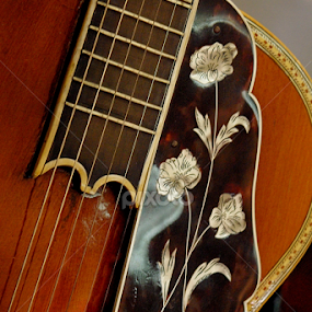Flower and guitar ... by Joseph Muller - Artistic Objects Musical Instruments