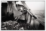 TX34 Sola Gratia. De volgende vangst