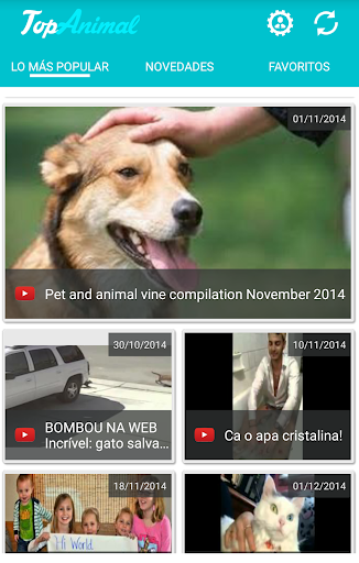 Top Animal: videos mascotas