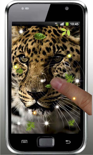 Jaguar Jungle live wallpaper