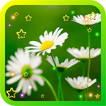 Cover Image of Télécharger Wild Camomiles live wallpaper 1.1 APK