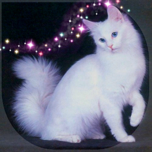 My Pet Cat - My World 1.7