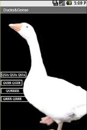 Z Ducks & Geese Sound poster 1
