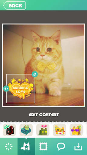 免費下載攝影APP|CatsBlock Camera app開箱文|APP開箱王