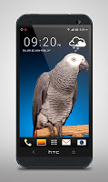 Grey Parrot Live Wallpaper APK 屏幕截图图片 #3