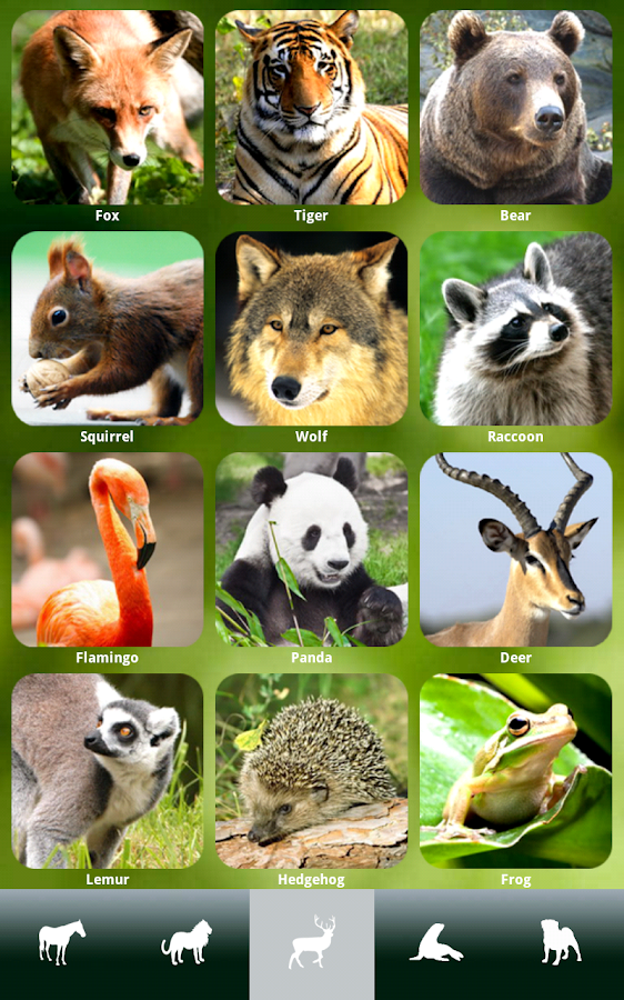ZOOLA Animals FREE Android Apps on Google Play