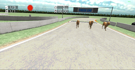 免費下載賽車遊戲APP|Dog Racing : Labrador app開箱文|APP開箱王