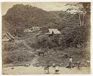 Kawi gebergte 8820 vt (hoogste top Boedak / Grens Passe Kedirie / Telekoon bij Batoe / Koffe land Malang)