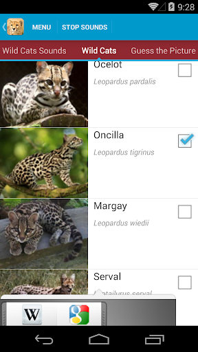 【免費教育App】Wild Cats Sounds and Checklist-APP點子