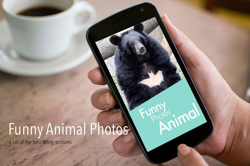 Funny Animal Photos