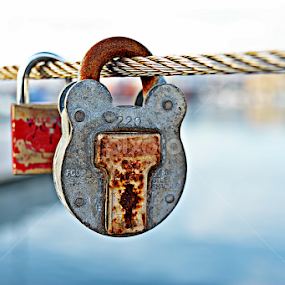 Dali živi by Jelena Puškarić - Artistic Objects Other Objects