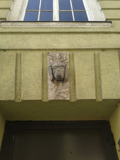 Detail Dogs Head