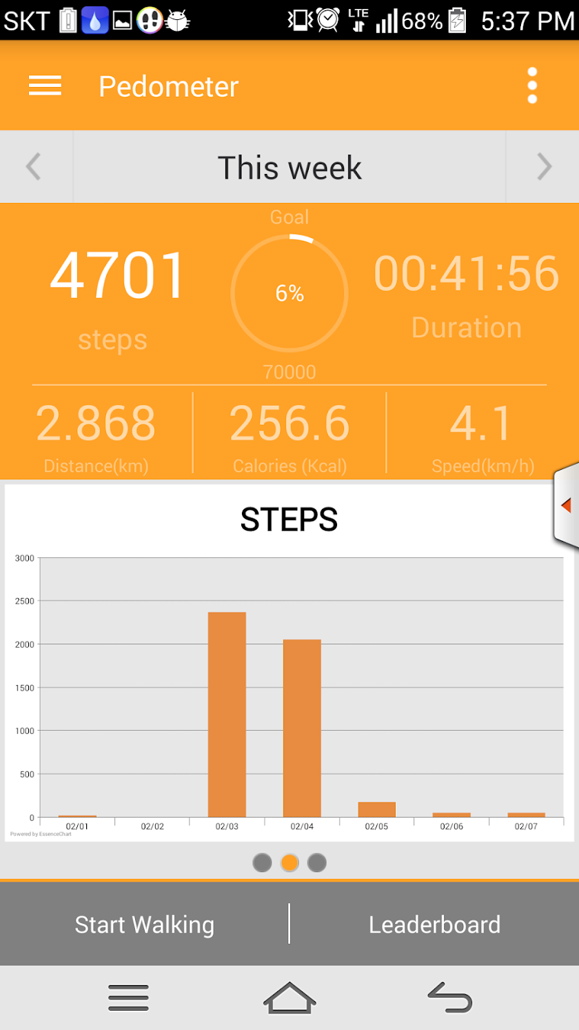 Pedometer Pro Screen 2