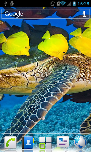 Marine fauna HD Live Wallpaper