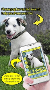 Download Pose a Pet™ APK for Android