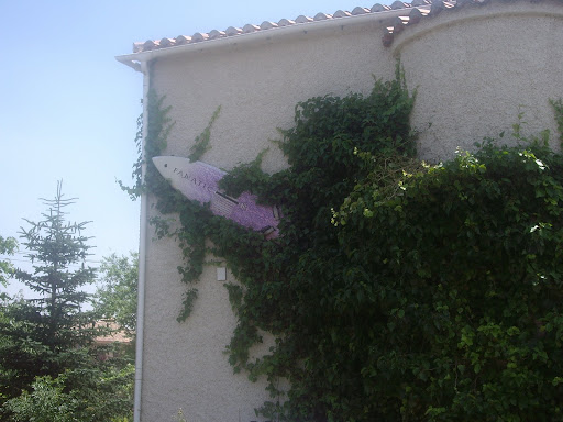 IMGP2836.JPG
