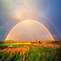 Amazing Nature Scene Pics HD I