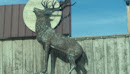Antique Elk