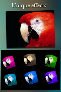 PicPoly - Unique photo effects Screenshots 2