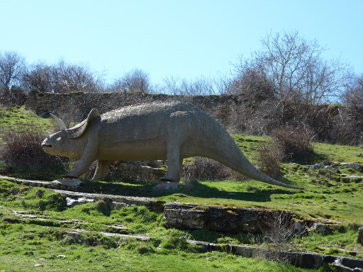 Triceratops Ruta Icnitas