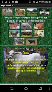 Download Campo App APK for PC