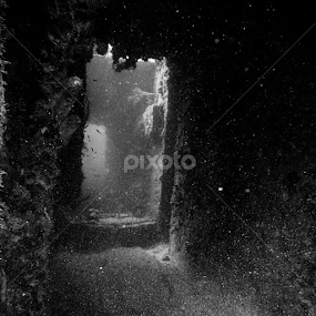 had a amazing dive here are some photos by Isidro Pentzke - Abstract Light Painting