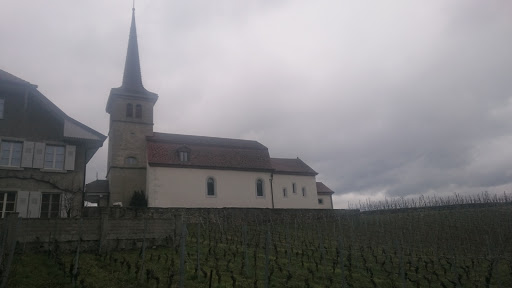 Eglise De Font 
