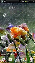 live rain wallpaper APK Download for Android