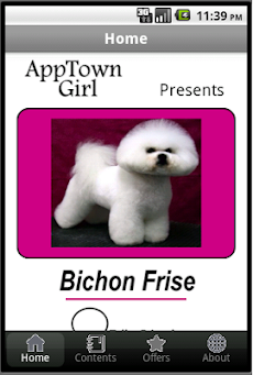 Dog Grooming Bichon Friseのおすすめ画像1