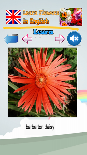 免費下載教育APP|영어로 꽃 의 이름을 알아보십시오 app開箱文|APP開箱王