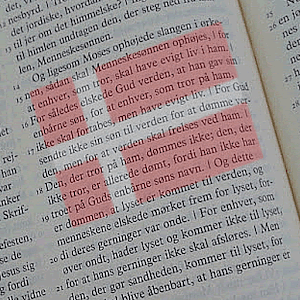 Bibelen Nem!.apk 1.0