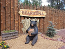 Bearizona Black Bear