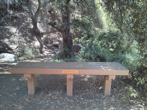 Mission Trails Ackerly Memorial Bench
