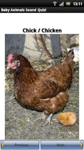 Baby Animals Sound Quiz! Screenshots 2