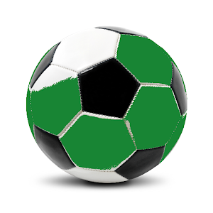 Celtic FC Fan 1.05