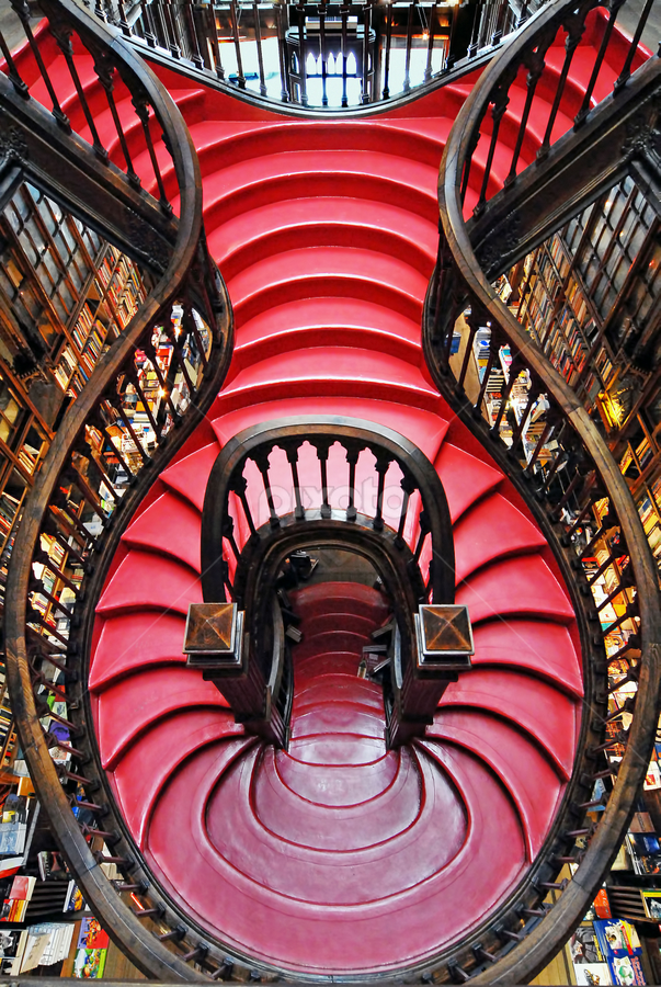 Lello Bookshop by Antonio Amen - Buildings & Architecture Architectural Detail