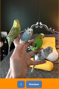 How to download Cheer Up! lastet apk for bluestacks